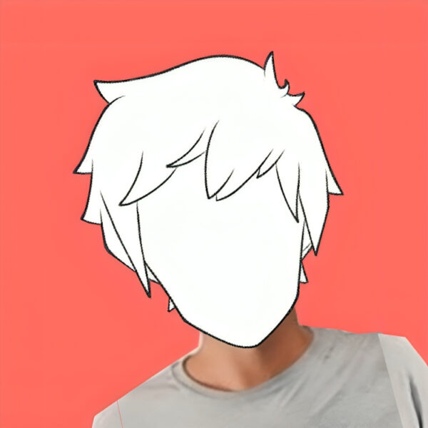 stegi